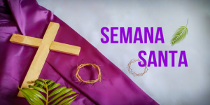 Qual o Significado do Domingo de Ramos na Liturgia da Igreja?